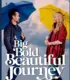 A Big Bold Beautiful Journey İzle