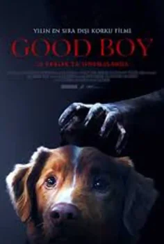 Good Boy Film İzle