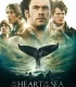 In the Heart of the Sea Türkçe Dublaj İzle